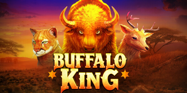 Buffalo King